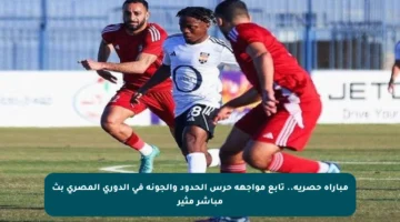 مباراة حصرية.. تابع مواجهة حرس الحدود والجونة في الدوري المصري بث مباشر مثير
